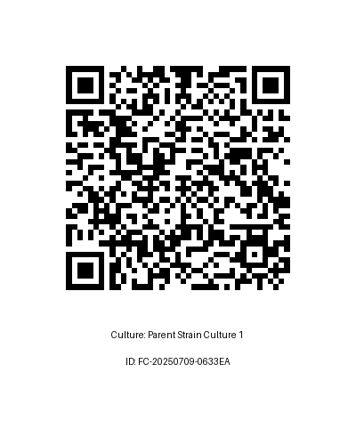 Click to view full size QR Code